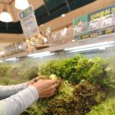 전주전일초등학교 이미지