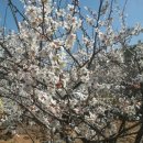 건욱농장 | 짜식! 숫기가 없긴