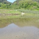 성기농장 이미지