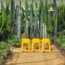 일산농장 이미지