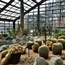 엔젤 식물원 이미지