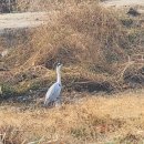 한천 마을회관 이미지