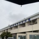 여객선터미널 | 통영항여객선터미널 주차 비진도 방문후기
