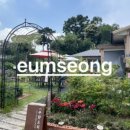 수향오리 이미지