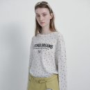 Layered se 이미지