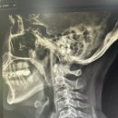 콕콕마취통증의학과의원 이미지