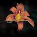 세종정신과의원 이미지