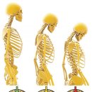 위풍당당재활의학과의원 이미지