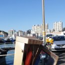 동호동 수협 앞 이미지