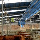 영남제일로 이미지