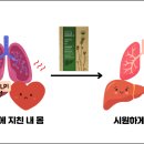 번영팜 네이버블로그