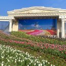 에버랜드 동물병원 | 에버랜드 3월 4월 튤립 축제 평일 오픈런 후기 : 워킹사파리 종일권 동선 추천 및 꿀팁 공유 (불꽃놀이...