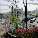 중랑천육교 이미지