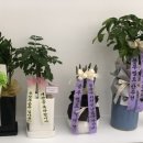 크린토피아오창 이미지