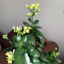 신궁마을회관 이미지