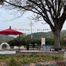 탄천초등학교 이미지