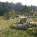 늘푸른숲 이미지