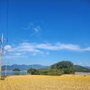 언니네부엌 이미지