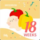 모아제일산부인과의원 이미지