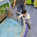 부산어촌민속관 | 아기랑 재밌게 관람 가능한 부산어촌민속관 방문후기