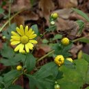 상복 농장 이미지