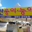 봉화자연산송이