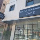 리틀 블루문 이미지