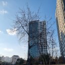 다목적게이트볼장화장실 이미지