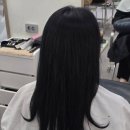 포레스트헤어 네이버블로그