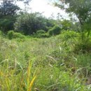 황산면 옥동리 ~ 황산면 옥동리 이미지