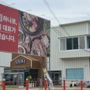 모던덕