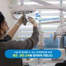 미소진치과의원 이미지