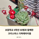 [행복한학교]마크라메 일상에 감성 더하기 | 초등학교 6학년 크리스마스 다육테라리움 만들기 수업 | 꽃 더하기 힐링 클래스 [원예체험, 창의력수업...