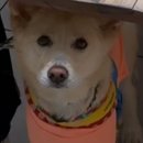 정아수퍼 이미지