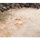 월정브리즈 이미지