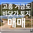 고흥공인행정사 이미지