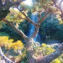 표선리-16 이미지