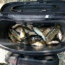 양양들꽃내음펜션 | 맑은 계곡물과 숲으로 이루어진 양양 들꽃 내음 펜션에서 1박