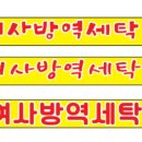 매월4로2L 이미지