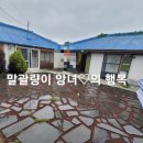 포비네 오두막 이미지