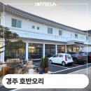 보문호반오리 불국사점 | 경주 콜로세움에서 불국사 호반오리 커피 머신 이동 설치 정보 후기