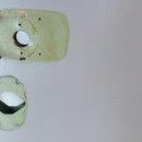 까치열쇠 이미지