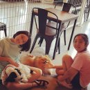 (주)다온스토리 이미지