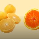 창원농장 이미지