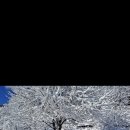 오복민박 이미지