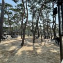 소양강로 이미지