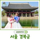 간선-64 | 꽃길보다 궁궐? 지금 고궁나들이가 더 설레는 이유