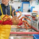 경북상회 | 부산 남포동 맛집 추천 신경북상회 대박코스 리얼 후기