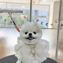 와니살롱 이미지