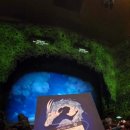 서구-01-140 이미지